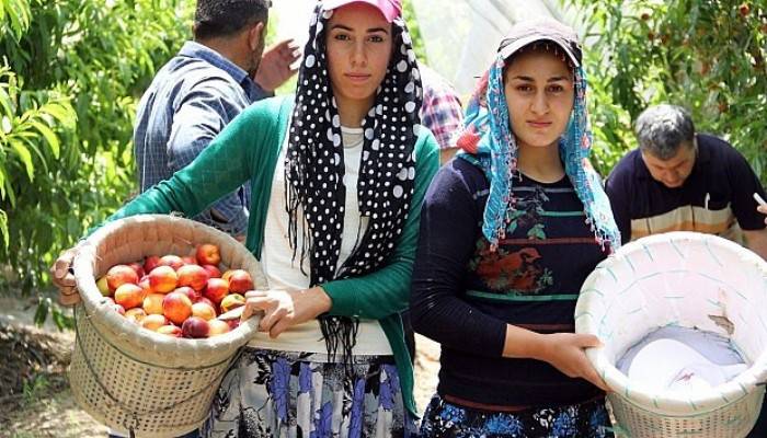 Ekmek parası için gece 03.30’da kalkıp yollara düşüyorlar