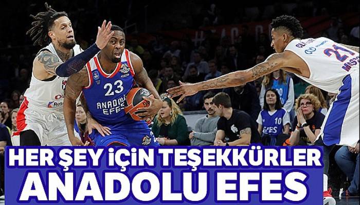 Anadolu Efes, Euroleague ikincisi