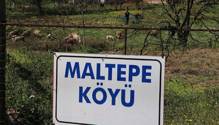 Karantinadaki Maltepe köyünde 12 gündür sessizlik hakim (VİDEO)