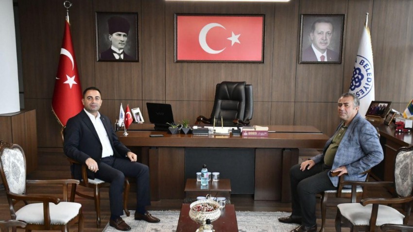 Başkan Erdoğan dönemi, denetimden sıkıntısız geçti  