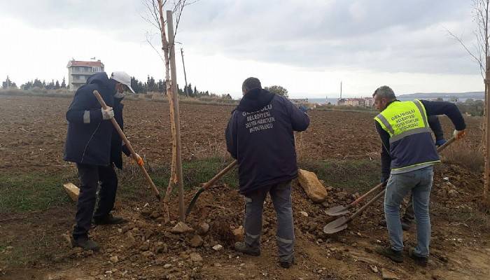 Ruslar’ın Gelibolu’ya Gelişinin Yıldönümü Anısına Fidanlar Dikildi