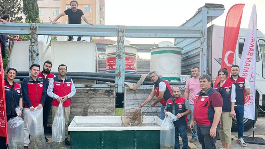 Çanakkale’de Baraj ve Göllere 2 Milyon Yavru Balık Bırakıldı