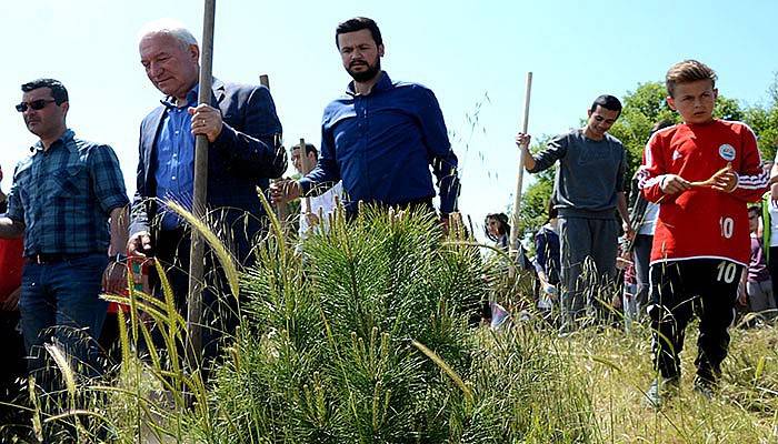 Lapseki'de Kadın Tepesine bin fidan (VİDEO)