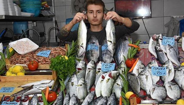 'Denizlerin prensi' lüferin fiyatı altın ile yarışıyor