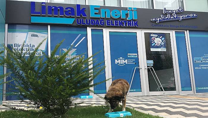 Limak Enerji yaz sıcaklarında sokak hayvanlarını unutmadı