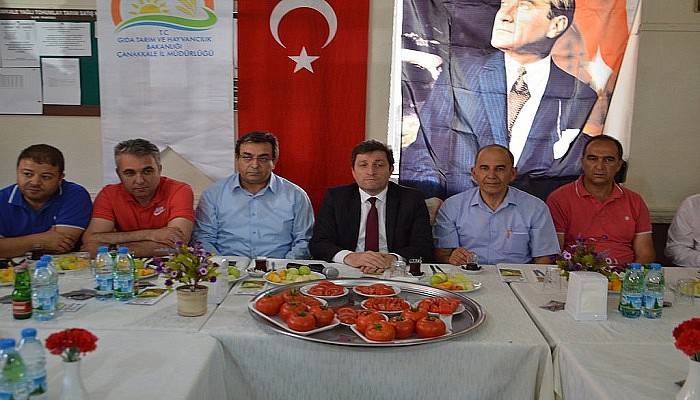 Çanakkale’nin Domatesi Piyasaya Çıktı