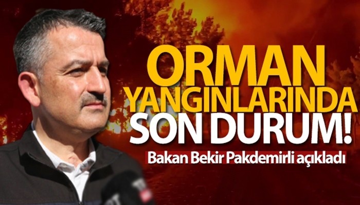 Orman yangınlarına ilişkin son durum!