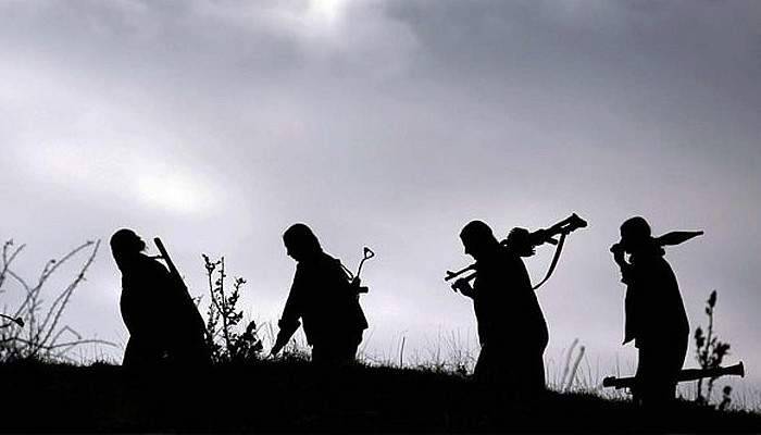 Siirt’te 2 PKK’lı öldürüldü