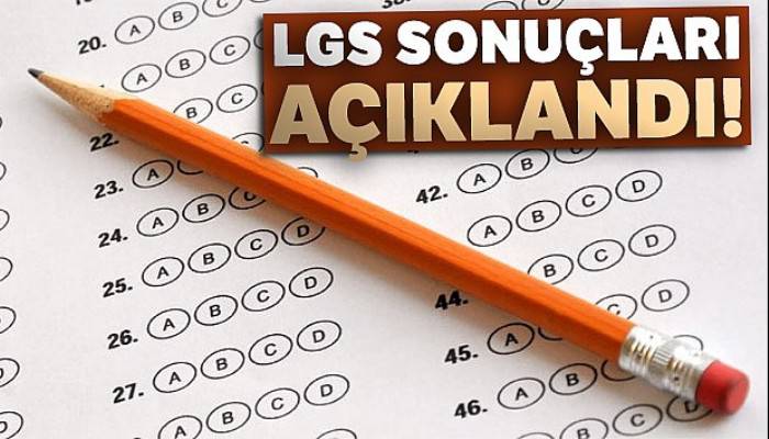 LGS sonuçları açıklandı! (2019 LGS sınav sonuçları son dakika)