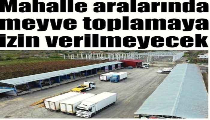 Mahalle aralarında meyve toplamaya izin verilmeyecek  