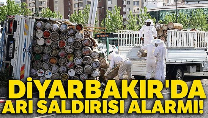Arı kovanlarını taşıyan araç kaza yaptı, binlerce arı ortalığa savruldu