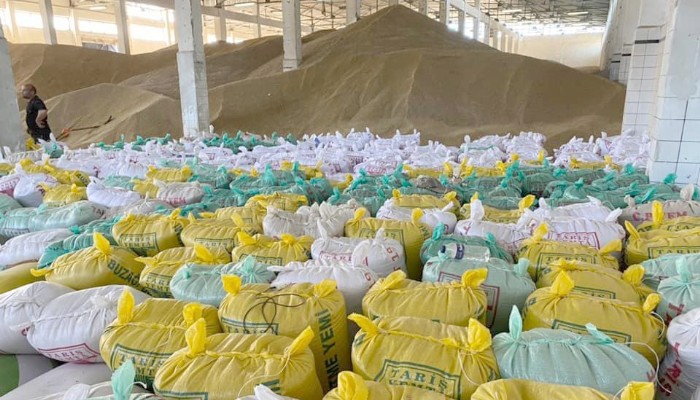 Çanakkaleli Üreticilere Bin Ton Arpa Dağıtıldı
