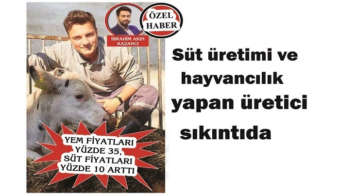 YEM FİYATLARI YÜZDE 35, SÜT FİYATLARI YÜZDE 10 ARTTI: Süt üretimi ve hayvancılık yapan üretici sıkıntıda