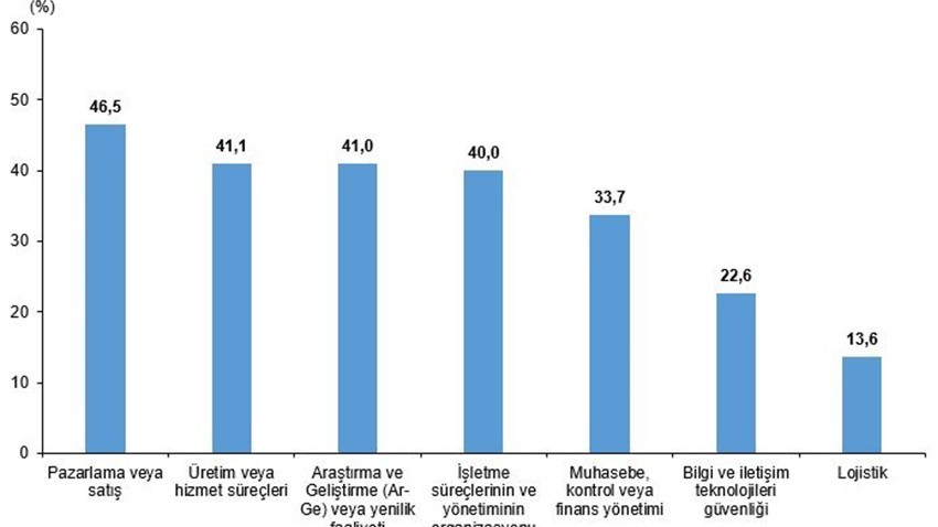 Girişimlerin %7,5'i yapay zeka kullandığını beyan etti