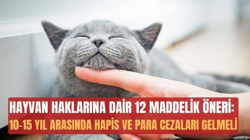 Hayvan haklarına dair 12 maddelik öneri: 10-15 yıl arasında hapis ve para cezaları