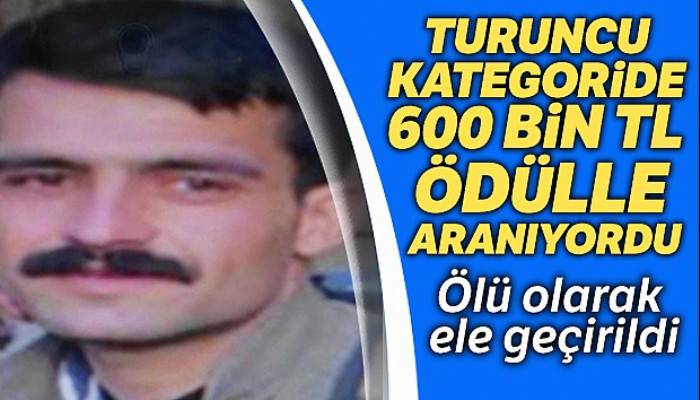 Turuncu kategoride yer alan terörist öldürüldü