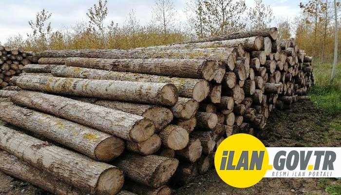 55900 M3 ORMAN EMVALİ İSTİF HİZMETİ ALINACAK