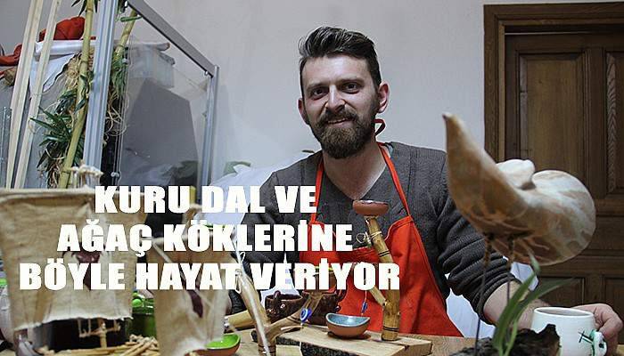 Kuru dal ve ağaç köklerine böyle hayat veriyor 