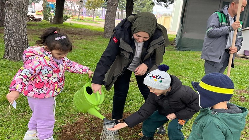 Bayramiç’te Yanan Alanlar Fidanlarla Yeniden Hayat Buluyor