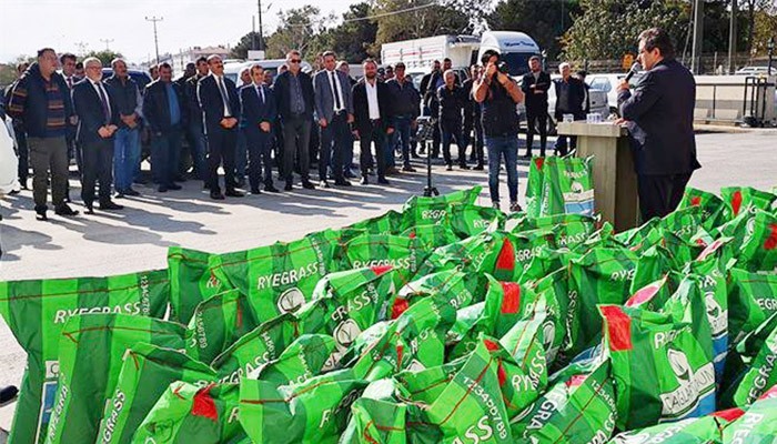 İtalyan çimi tohumu dağıtıldı