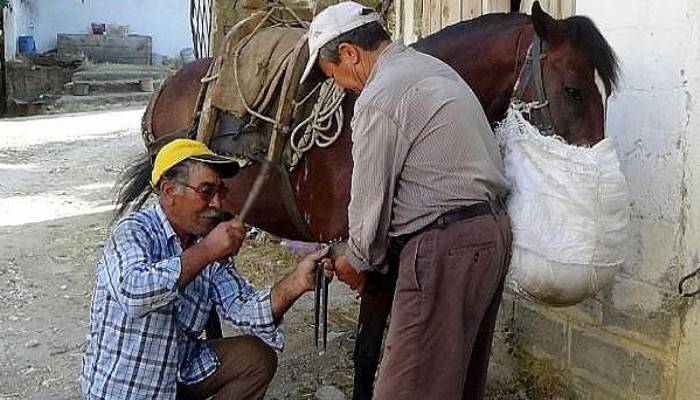 Bayramiç'in son nalbantı (VİDEO)