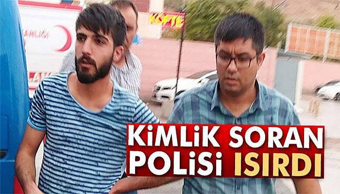 Kimlik soran polisi bacağından ısırarak yaraladı