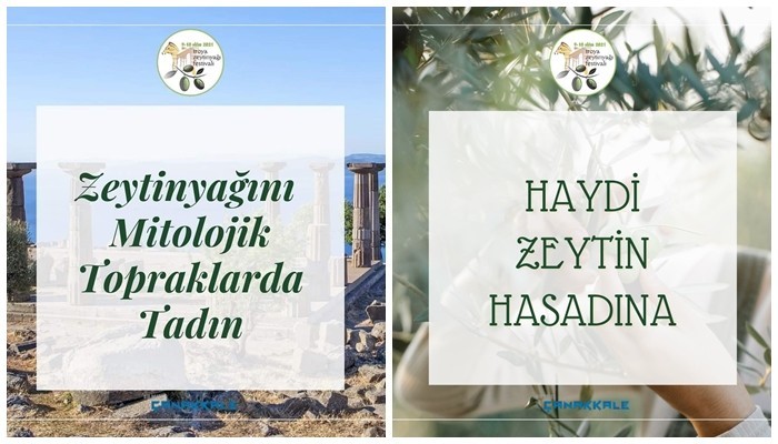Çanakkale Troya Zeytinyağı Festivali’ne hazırlanıyor