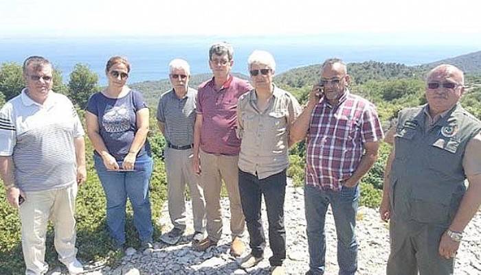  Yeni Bal Ormanları Oluşturuluyor