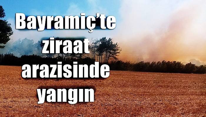 Bayramiç’te ziraat arazisinde yangın