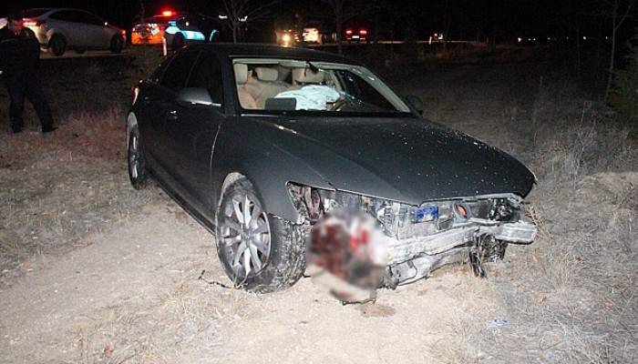 Belediye Başkanının makam aracı domuz sürüsüne çarptı