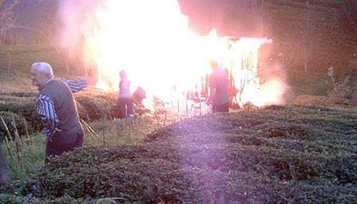 Yangında arılar telef oldu