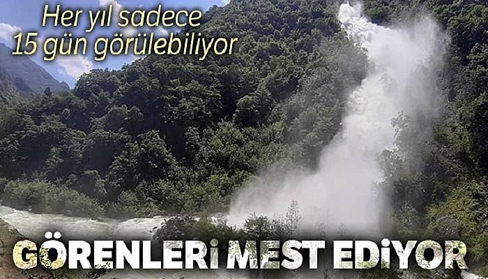 Her yıl sadece 15 gün görülebiliyor