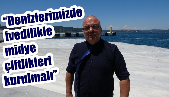 Prof. Dr. Yiğit: 'Canlı avladığınız ya da tezgahlardaki balıkları tüketebilirsiniz' (VİDEO)