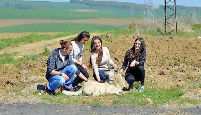 Liseli Kızlardan Örnek Davranış