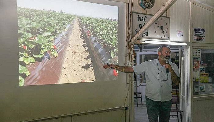 Yenice’de Çilek Üretimi 5 Yılda 10 Kat Arttı 