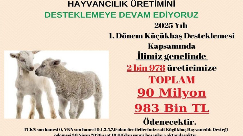 Küçükbaş Üreticilerine 91 Milyon Liralık Destek