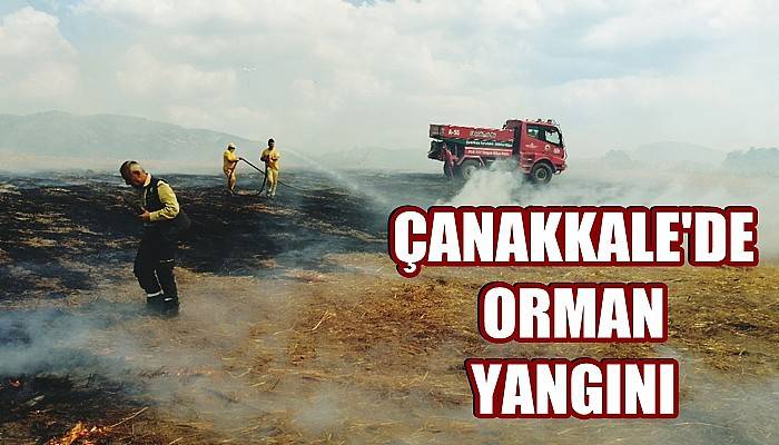 Çanakkale'de Orman Yangını