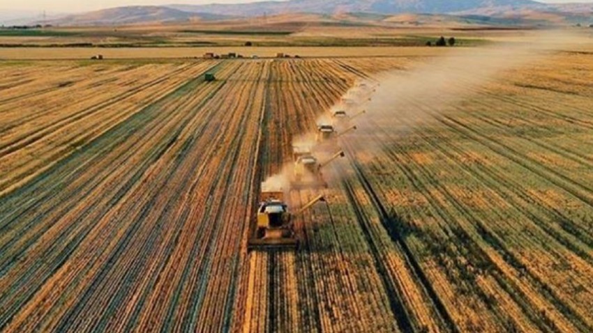 Türkiye’nin Tarımsal Hasılası 68,5 Milyar Dolara Ulaştı