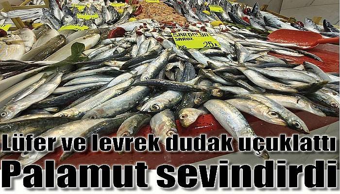 Lüfer ve levrek dudak uçuklattı