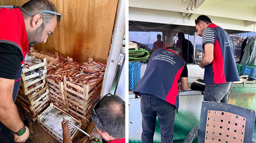 Mevzuata Aykırı Avcılığa Ceza