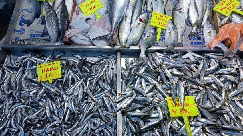 Biga balık halinde günlük balık fiyatları ne kadar?