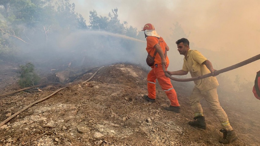 Çanakkale'de Orman Yangını Kontrol Altına Alındı! Geçmiş Olsun Çanakkale!