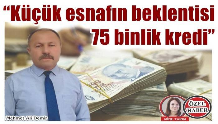 'Küçük esnafın beklentisi 75 binlik kredi'