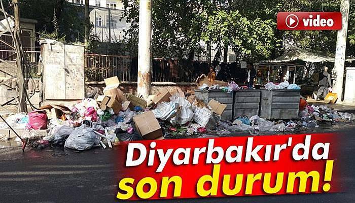 Diyarbakır ‘çöp kente’ döndü