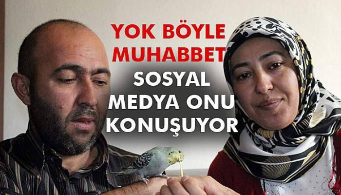  Yok böyle muhabbet