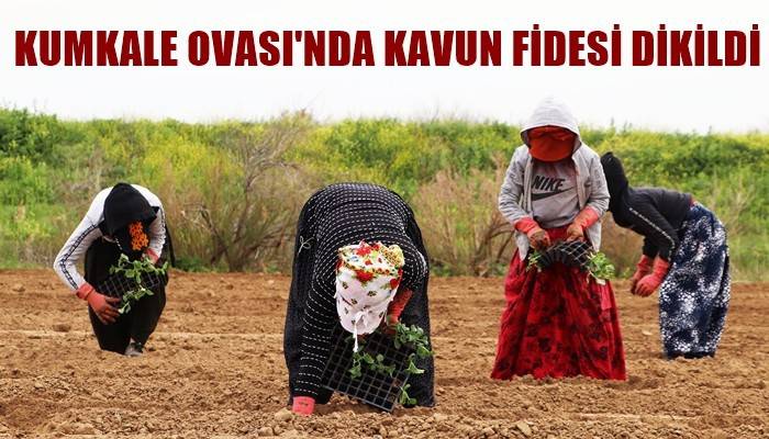 Emek ve Dayanışma Günü'nde 27 derece sıcaklıkta kavun fidesi diktiler (VİDEO)