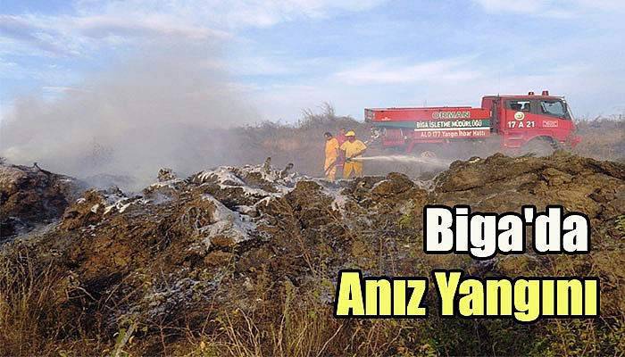  Biga'da Anız Yangını