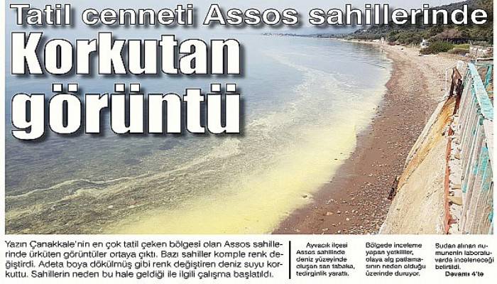 Tatil cenneti Assos sahillerinde Korkutan görüntü