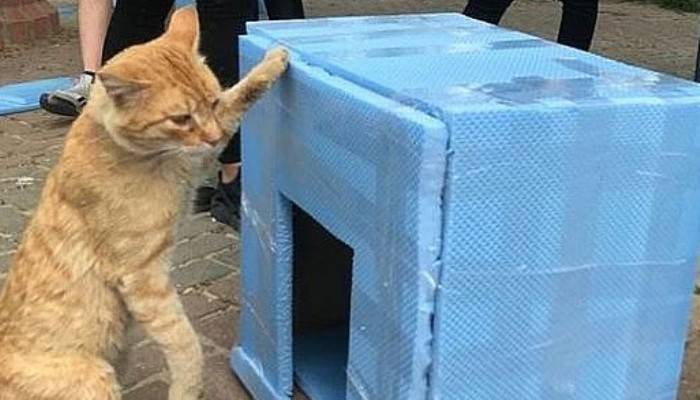 Projeler ara vermeden devam ediyor 