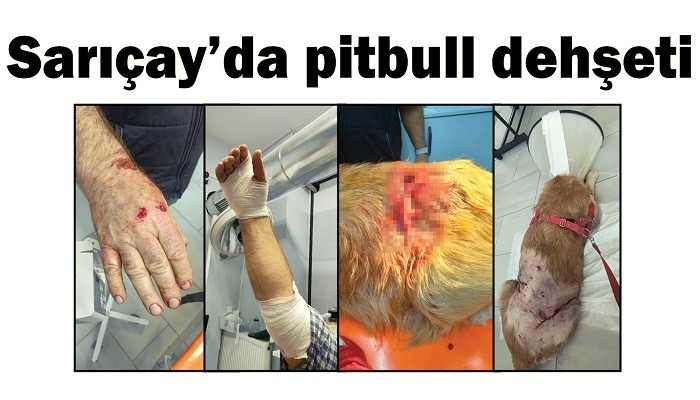 ÖLÜMDEN DÖNDÜLER: Sarıçay’da pitbull dehşeti